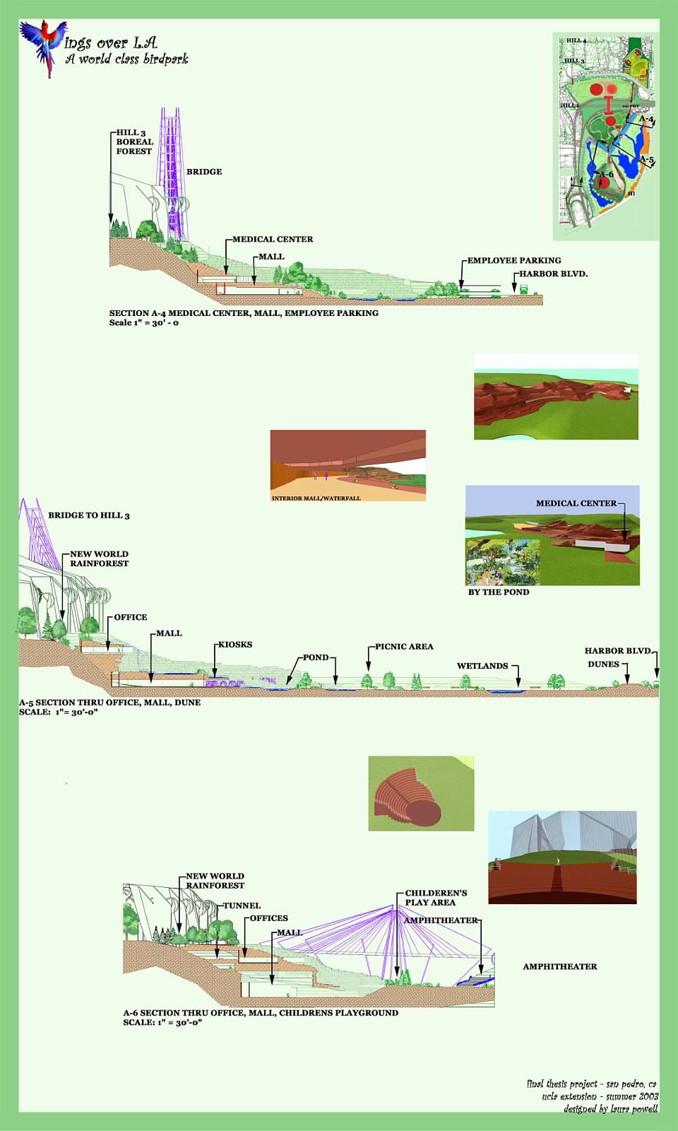 Section Views